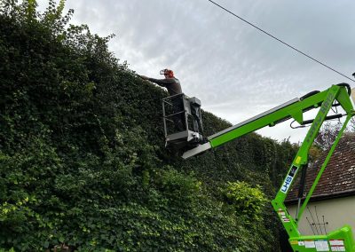Hedge cutting Ledbury